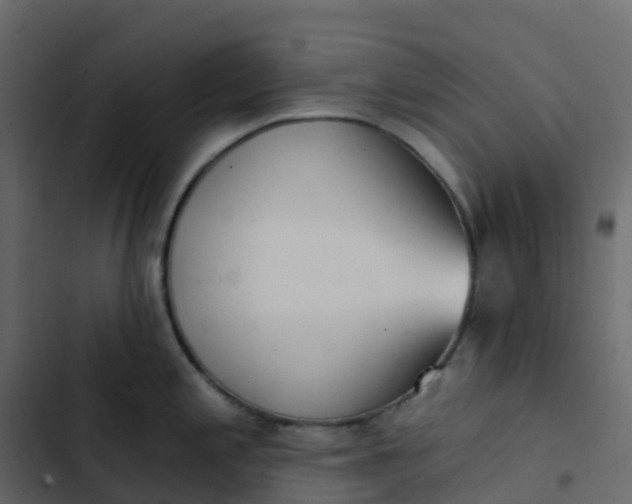 X0000102871197200809021440