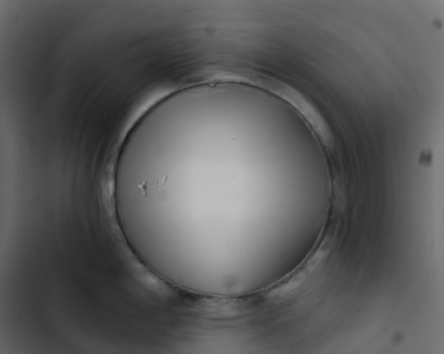 X0000102871198200809021440