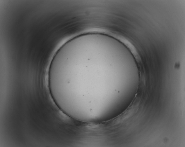 X0000102871199200809021440