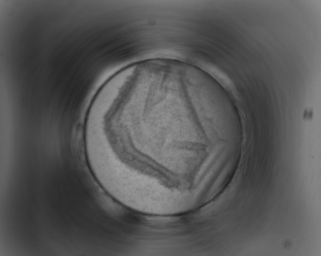 X0000102871200200809021440