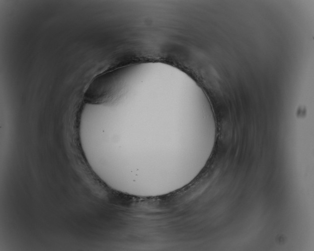 X0000102871201200809021439