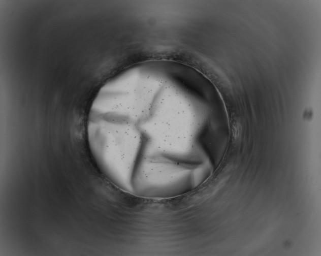 X0000102871204200809021439