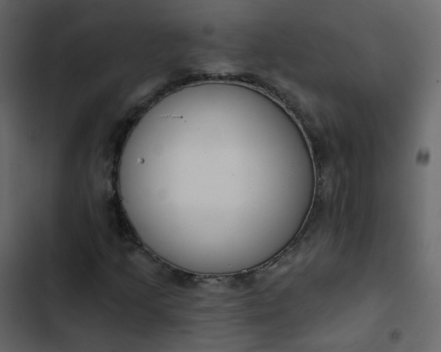 X0000102871205200809021439