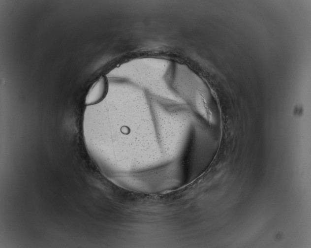 X0000102871206200809021439