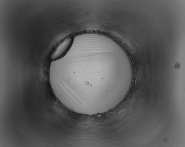 X0000102871207200809021439