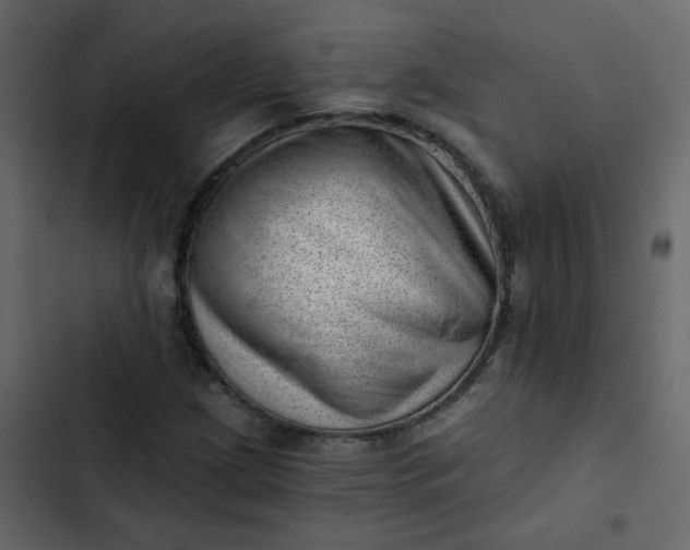 X0000102871209200809021439