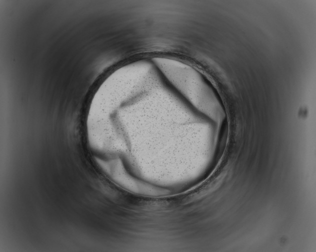 X0000102871210200809021439