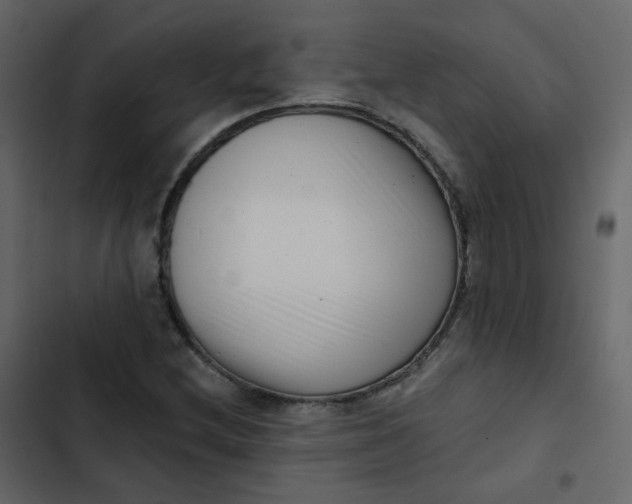 X0000102871212200809021439