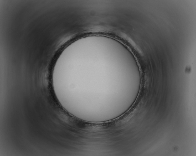 X0000102871213200809021439