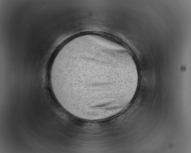 X0000102871215200809021439