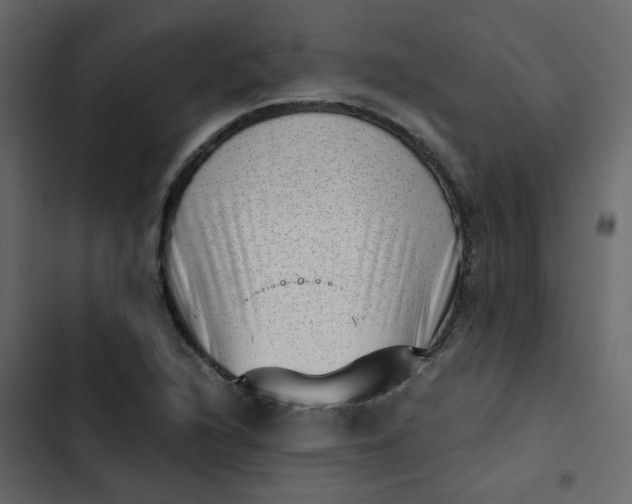 X0000102871216200809021439