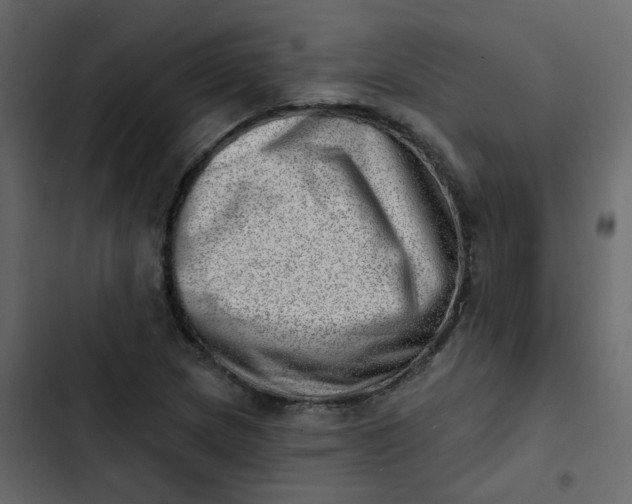 X0000102871217200809021439