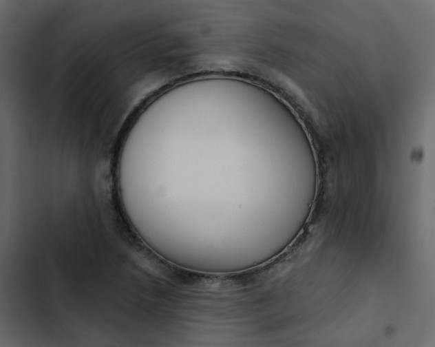 X0000102871218200809021439