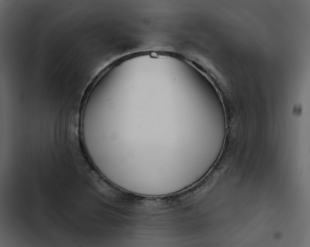 X0000102871220200809021439