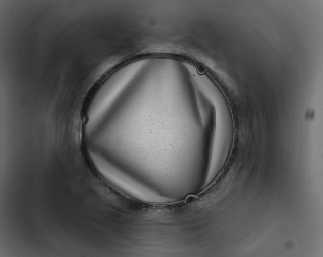 X0000102871221200809021439