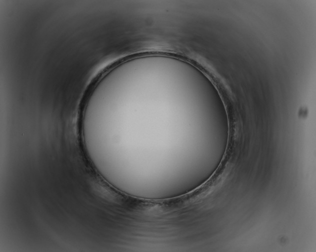 X0000102871222200809021439