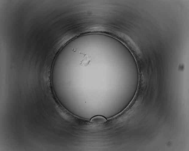 X0000102871225200809021439