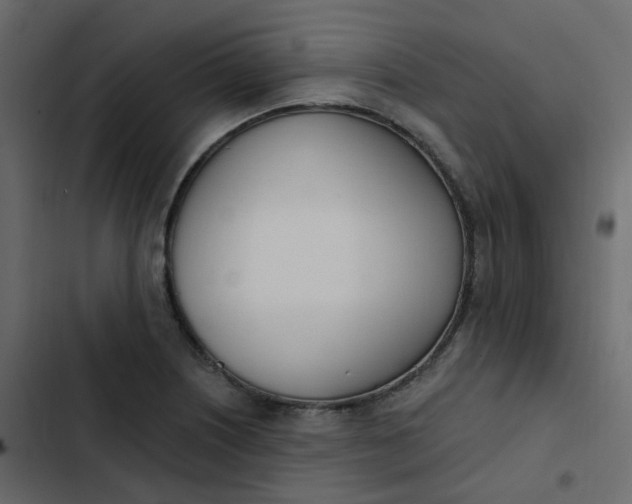 X0000102871226200809021439