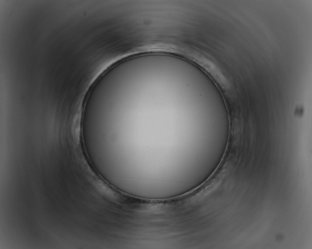 X0000102871228200809021440