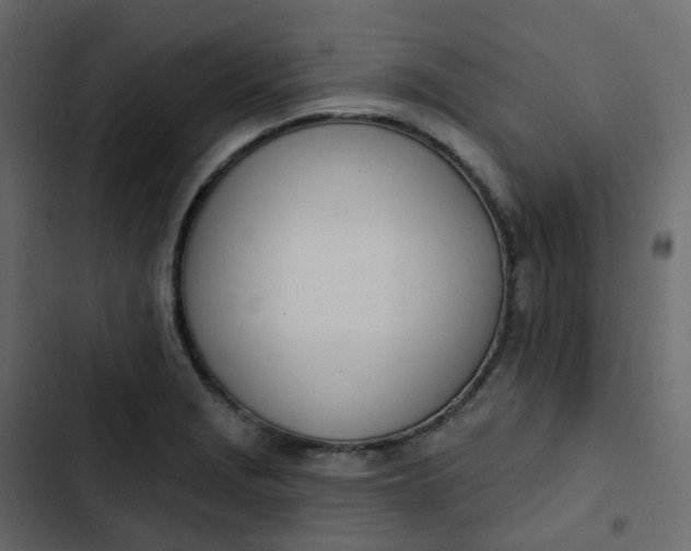 X0000102871229200809021440