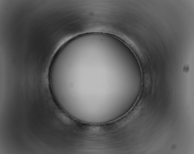 X0000102871230200809021440