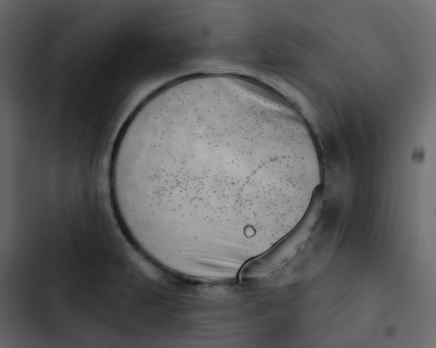 X0000102871231200809021440