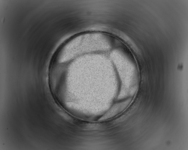 X0000102871232200809021440