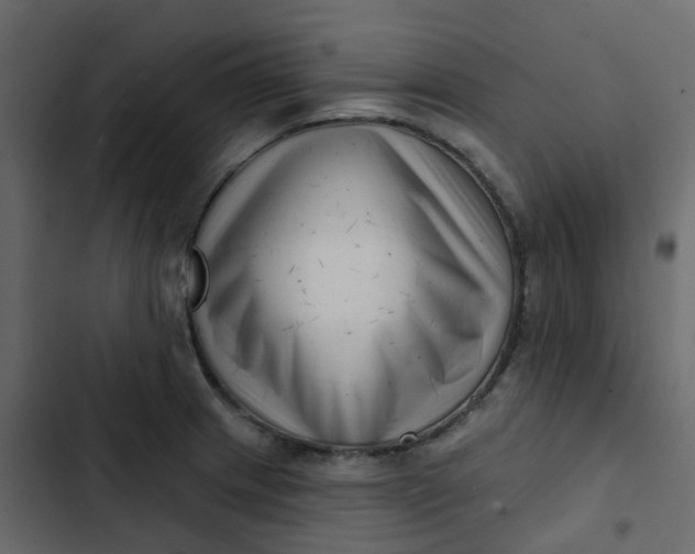 X0000102871233200809021440