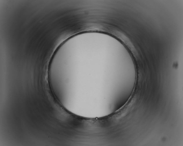 X0000102871234200809021440