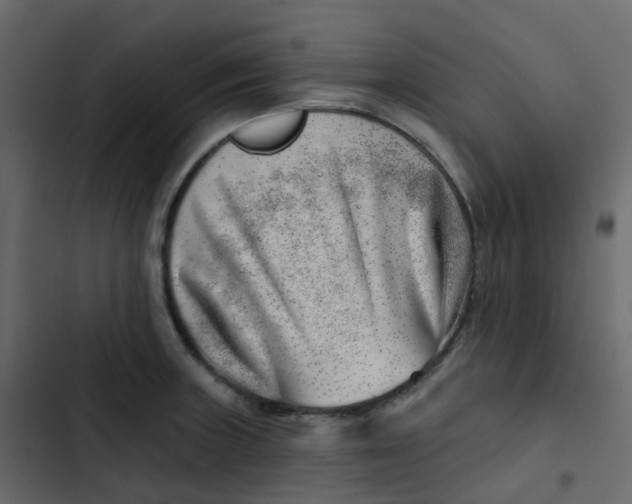 X0000102871235200809021440