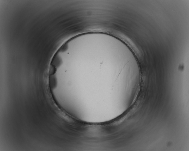 X0000102871236200809021440