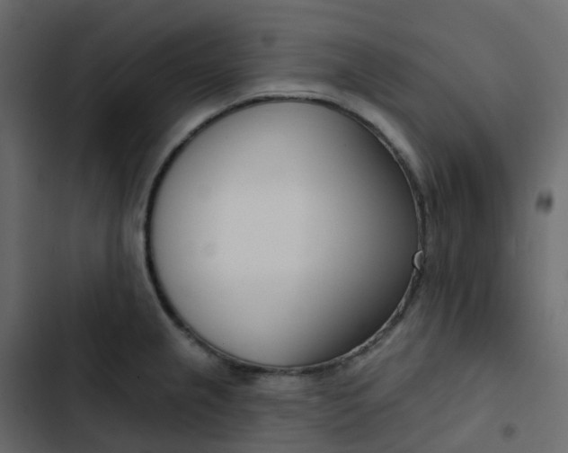 X0000102871237200809021440