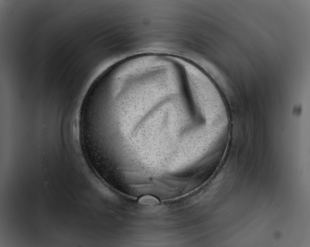 X0000102871238200809021440