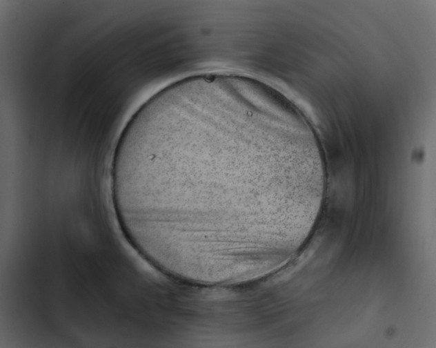 X0000102871239200809021440