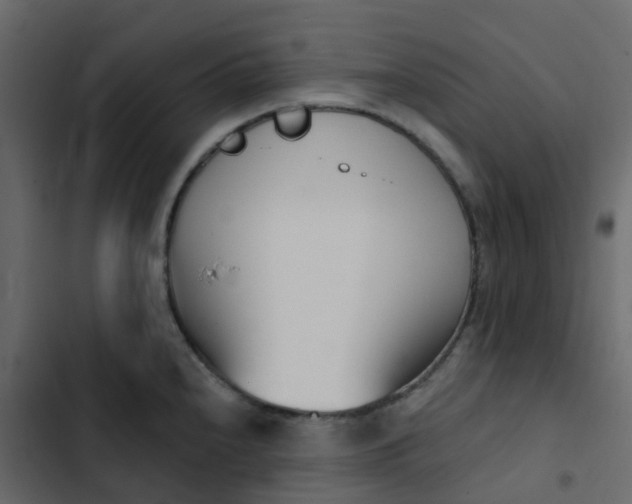 X0000102871240200809021440