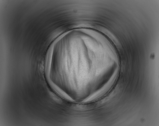 X0000102871241200809021440