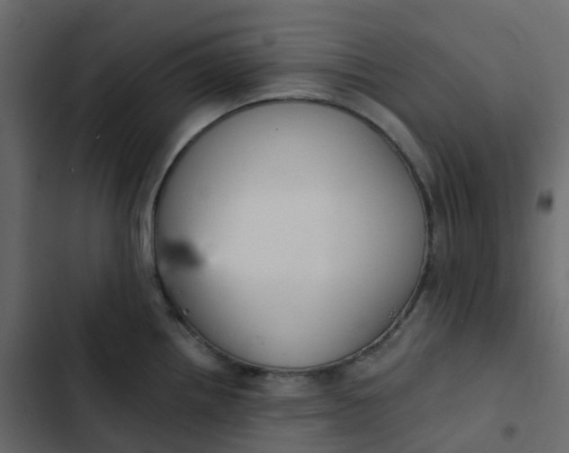 X0000102871242200809021440