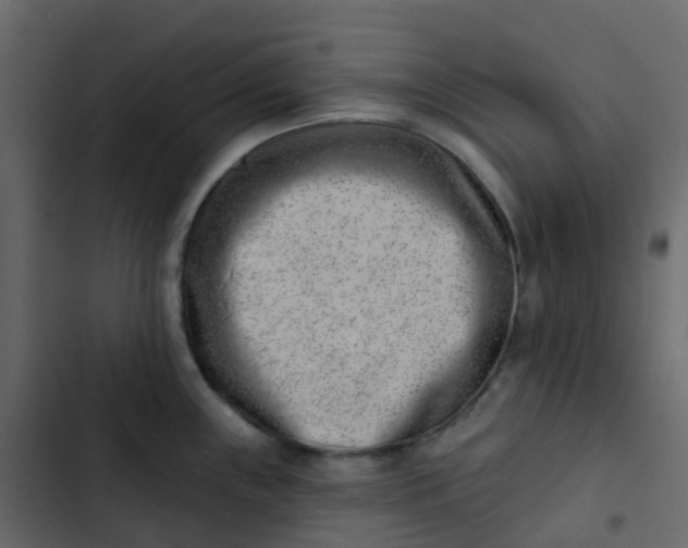 X0000102871243200809021440