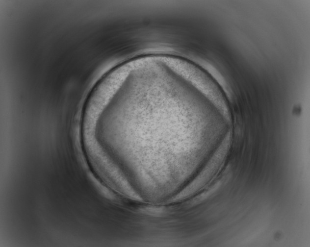 X0000102871245200809021440