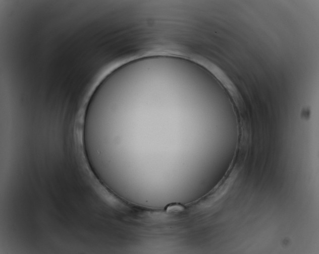 X0000102871246200809021440