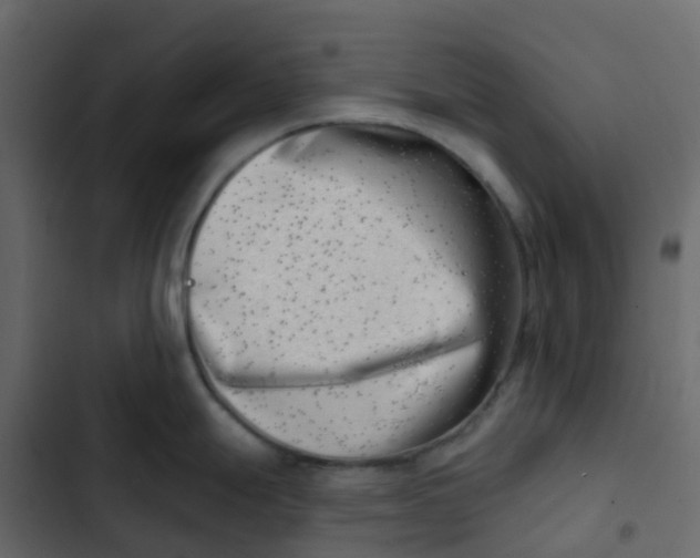 X0000102871247200809021440