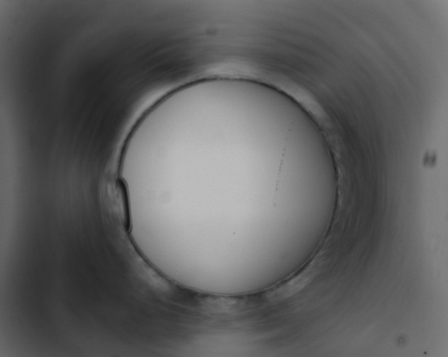 X0000102871248200809021440