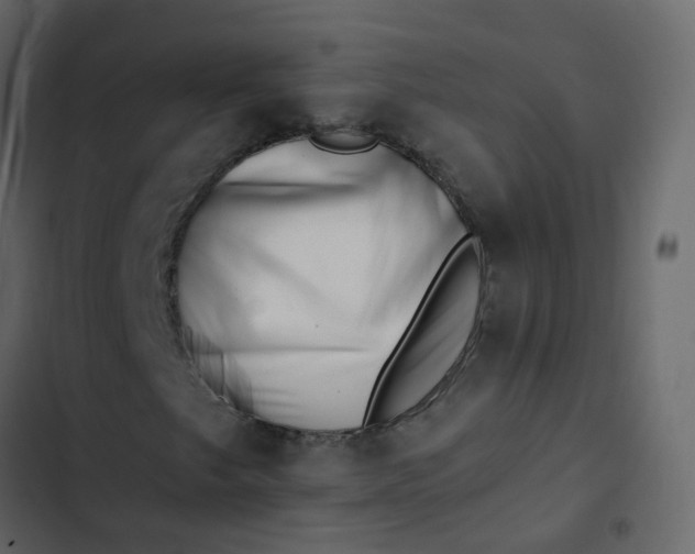 X0000102871249200809021439