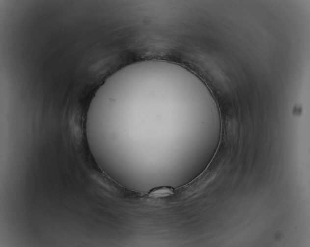 X0000102871250200809021439