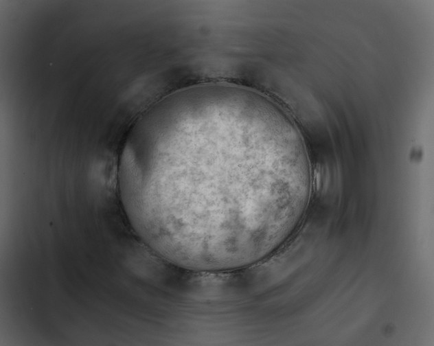 X0000102871251200809021439