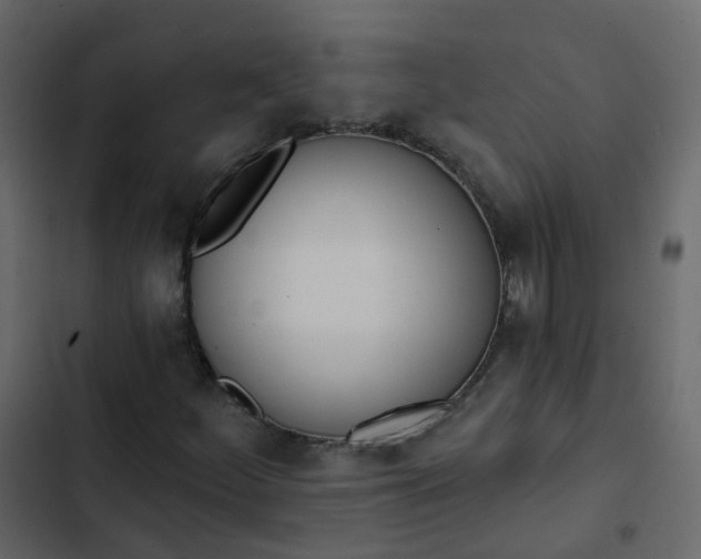 X0000102871252200809021439