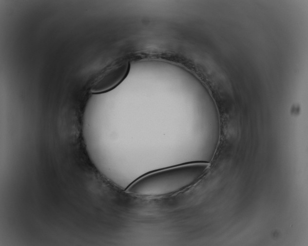 X0000102871253200809021439