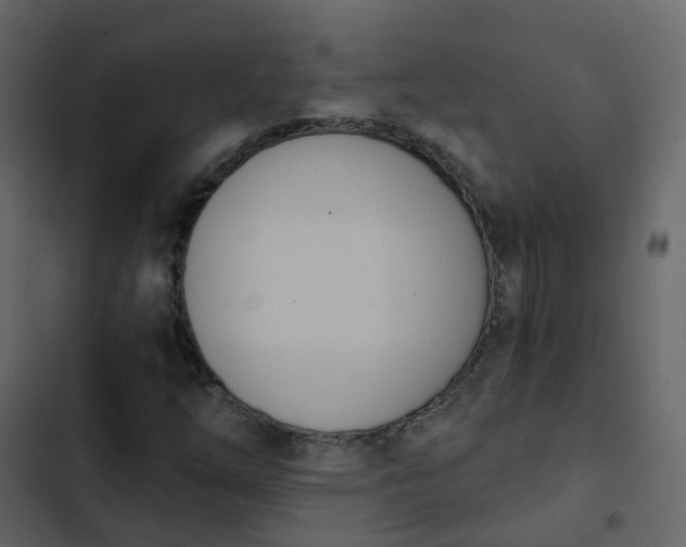 X0000102871254200809021439