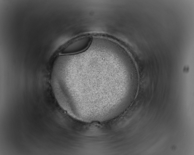 X0000102871255200809021439