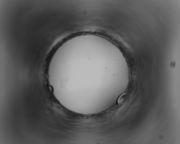 X0000102871256200809021439